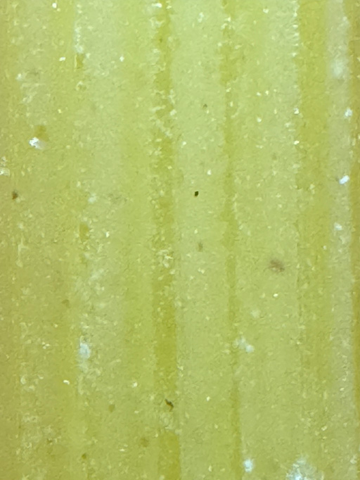 Close-up showing surface of Teflon-extruded pasta.